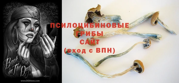 ешки Осташков