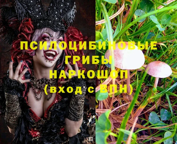 ешки Осташков