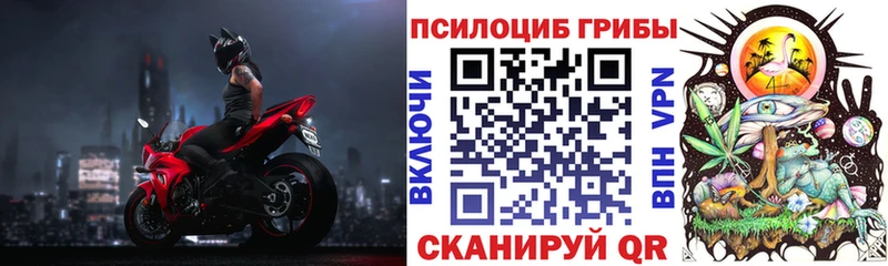Галлюциногенные грибы Cubensis Шумерля