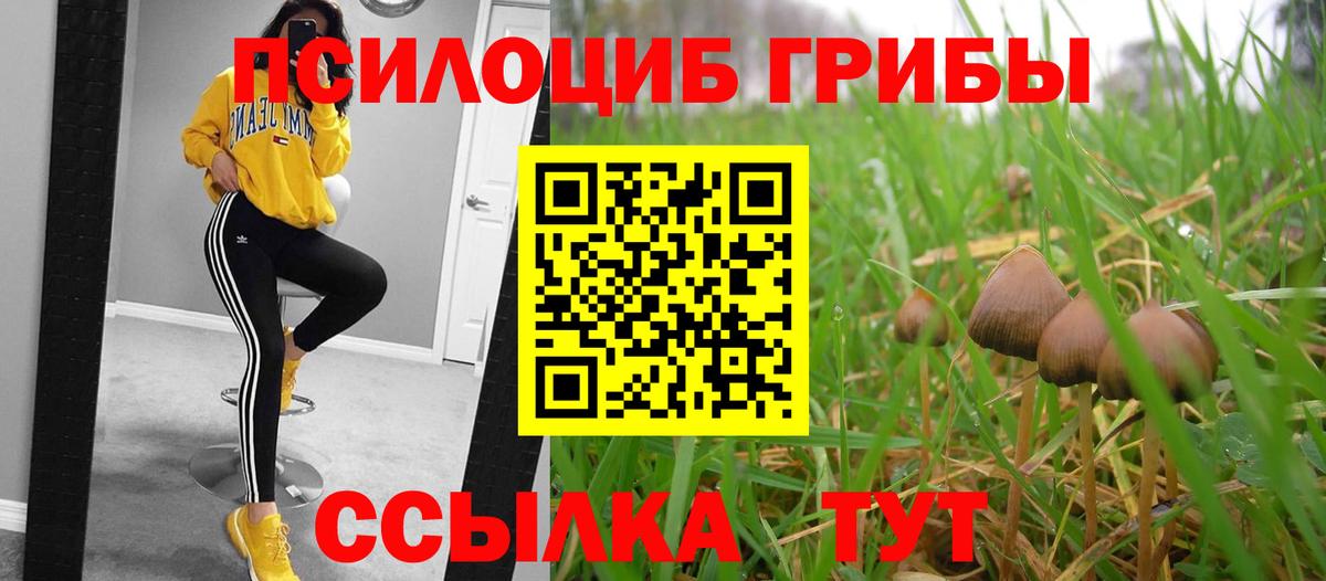 Галлюциногенные грибы GOLDEN TEACHER Шумерля
