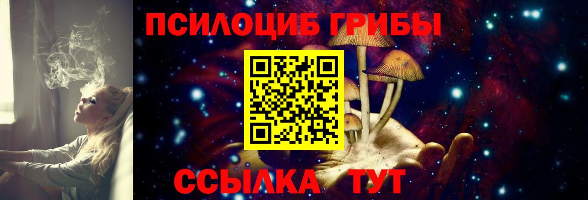 A PVP Шумерля
